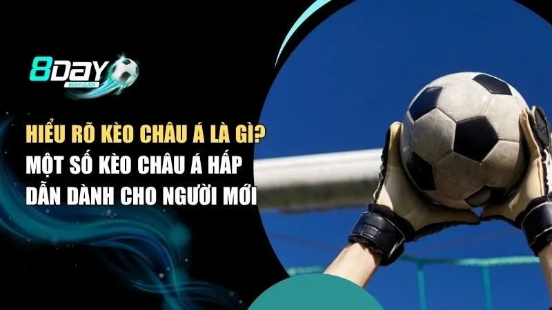 Hiểu Rõ Kèo Châu Á Là Gì? Một Số Kèo Châu Á Hấp Dẫn Dành Cho Người Mới